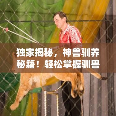 独家揭秘，神兽驯养秘籍！轻松掌握驯兽技巧，成为顶尖驯兽师！