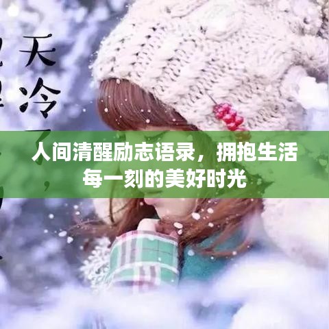 人间清醒励志语录，拥抱生活每一刻的美好时光