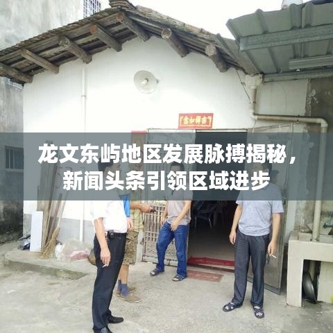 龙文东屿地区发展脉搏揭秘，新闻头条引领区域进步