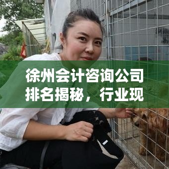 徐州会计咨询公司排名揭秘,行业现状及未来趋势分析