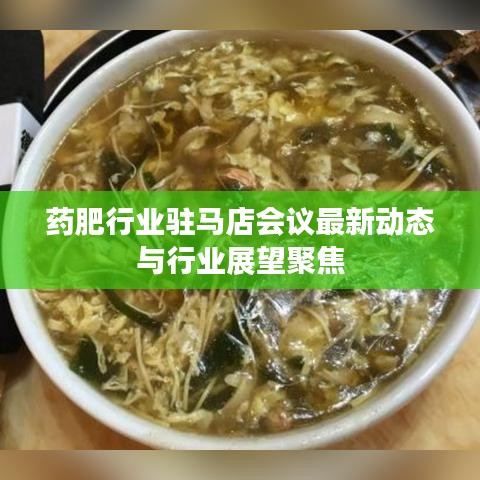 药肥行业驻马店会议最新动态与行业展望聚焦