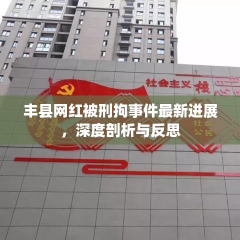 丰县网红被刑拘事件最新进展，深度剖析与反思