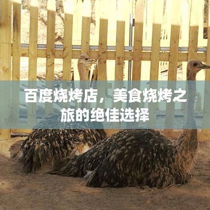 百度烧烤店，美食烧烤之旅的绝佳选择