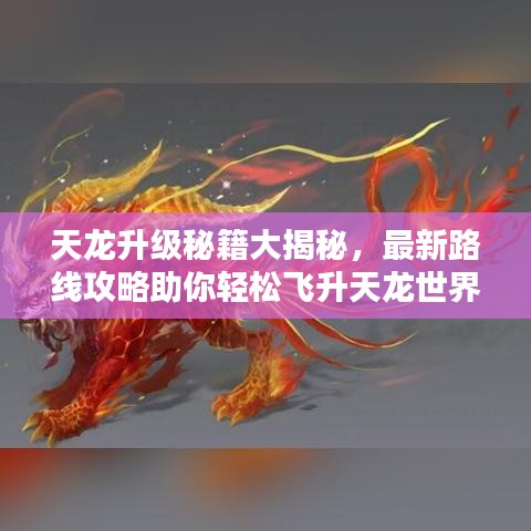 天龙升级秘籍大揭秘，最新路线攻略助你轻松飞升天龙世界！