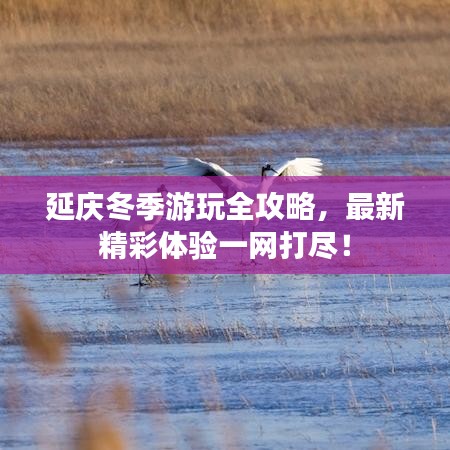 延庆冬季游玩全攻略,最新精彩体验一网打尽!