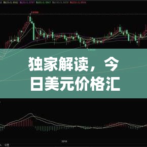 独家解读，今日美元价格汇率走势分析，影响及未来预测