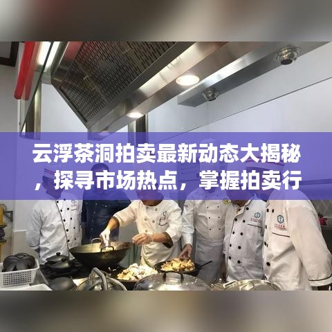云浮茶洞拍卖最新动态大揭秘，探寻市场热点，掌握拍卖行情