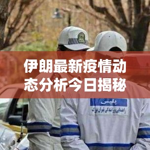 伊朗最新疫情动态分析今日揭秘