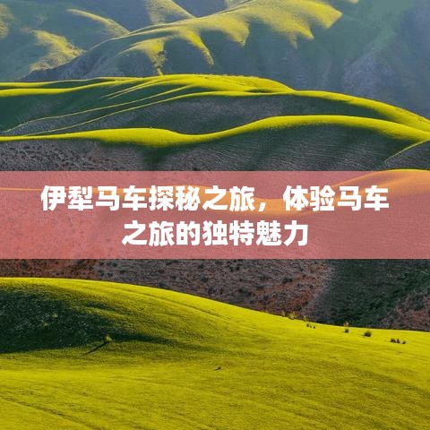伊犁马车探秘之旅,体验马车之旅的独特魅力
