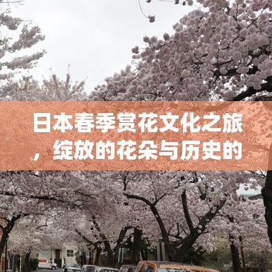 日本春季赏花文化之旅，绽放的花朵与历史的盛宴
