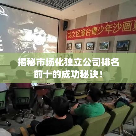 揭秘市场化独立公司排名前十的成功秘诀！