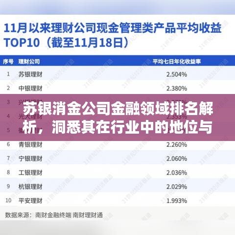 苏银消金公司金融领域排名解析，洞悉其在行业中的地位与表现