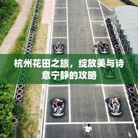 杭州花田之旅，绽放美与诗意宁静的攻略