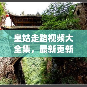 皇姑走路视频大全集,最新更新,一览无余