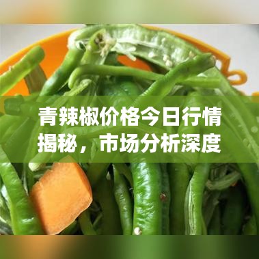 青辣椒价格今日行情揭秘，市场分析深度解读