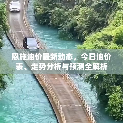 恩施油价最新动态，今日油价表、走势分析与预测全解析