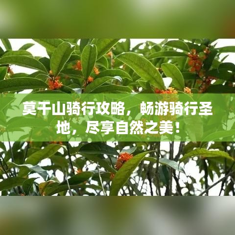 鸿飞雪爪 第7页