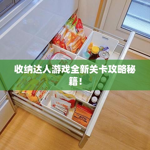 收纳达人游戏全新关卡攻略秘籍！