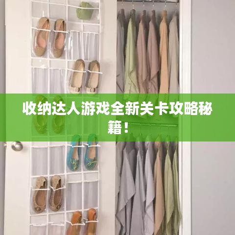 收纳达人游戏全新关卡攻略秘籍!