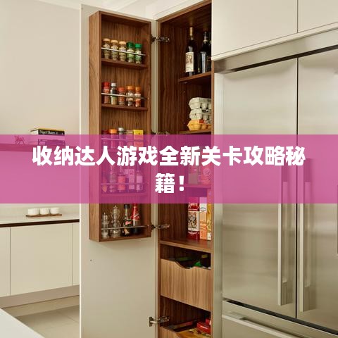 收纳达人游戏全新关卡攻略秘籍!