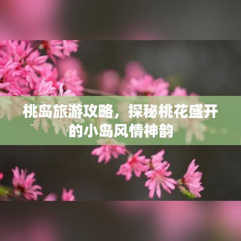 桃岛旅游攻略，探秘桃花盛开的小岛风情神韵