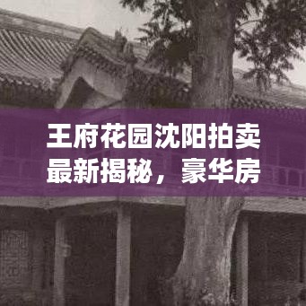 王府花园沈阳拍卖最新揭秘，豪华房产背后的故事重磅来袭！