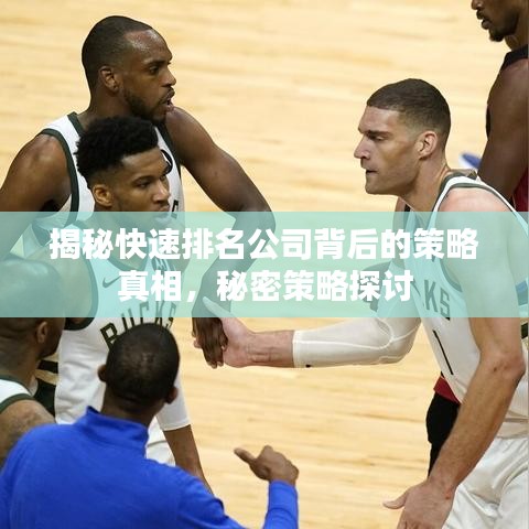 揭秘快速排名公司背后的策略真相，秘密策略探讨