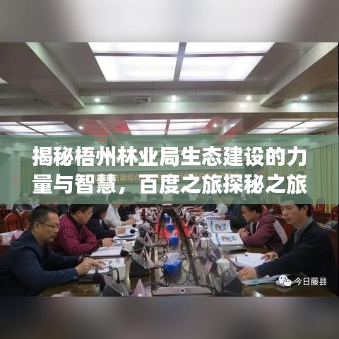 揭秘梧州林业局生态建设的力量与智慧，百度之旅探秘之旅