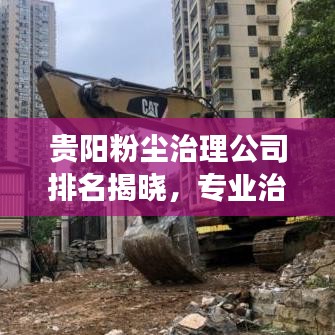 贵阳粉尘治理公司排名揭晓，专业治理，守护健康环境的重要性