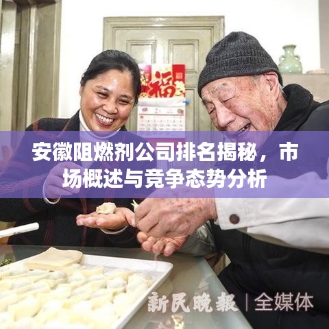 安徽阻燃剂公司排名揭秘，市场概述与竞争态势分析