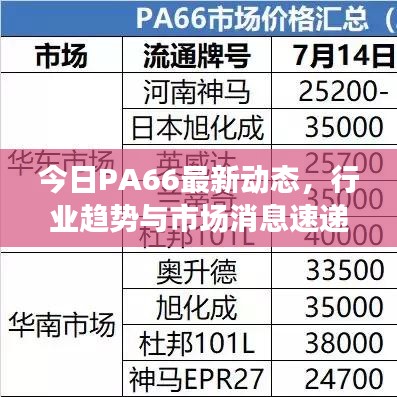 今日PA66最新动态，行业趋势与市场消息速递