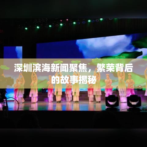 深圳滨海新闻聚焦，繁荣背后的故事揭秘