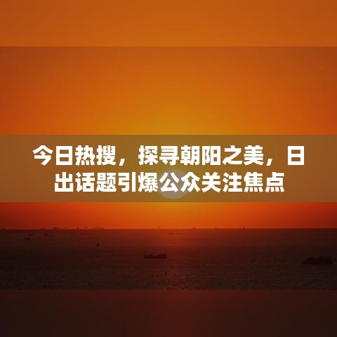 今日热搜,探寻朝阳之美,日出话题引爆公众关注焦点