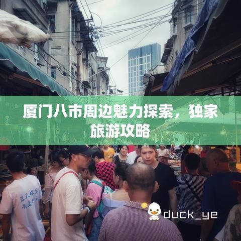 厦门八市周边魅力探索，独家旅游攻略