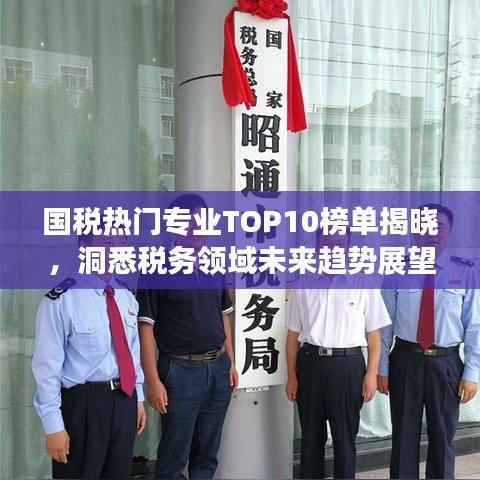 国税热门专业TOP10榜单揭晓，洞悉税务领域未来趋势展望