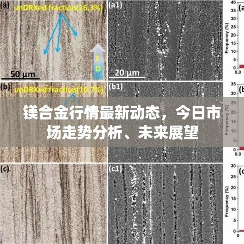 镁合金行情最新动态，今日市场走势分析、未来展望