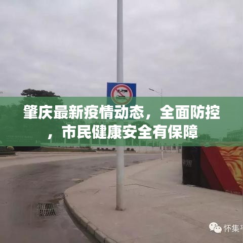 肇庆最新疫情动态，全面防控，市民健康安全有保障
