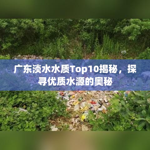 广东淡水水质Top10揭秘，探寻优质水源的奥秘
