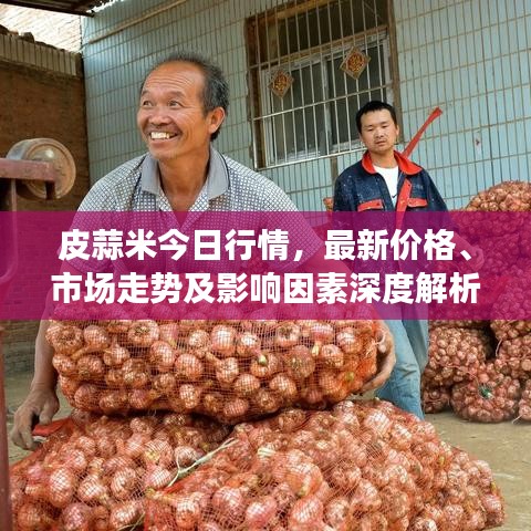 皮蒜米今日行情，最新价格、市场走势及影响因素深度解析