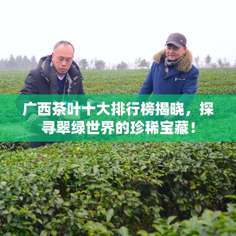 贵不期骄 第8页