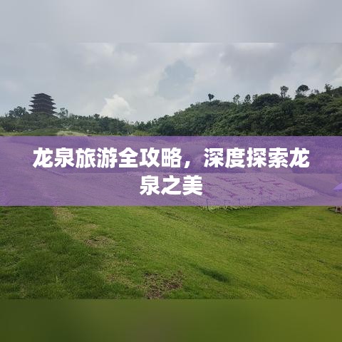 龙泉旅游全攻略,深度探索龙泉之美