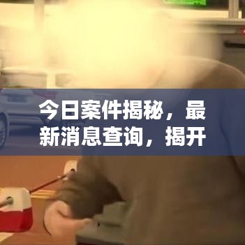 今日案件揭秘，最新消息查询，揭开真相的面纱