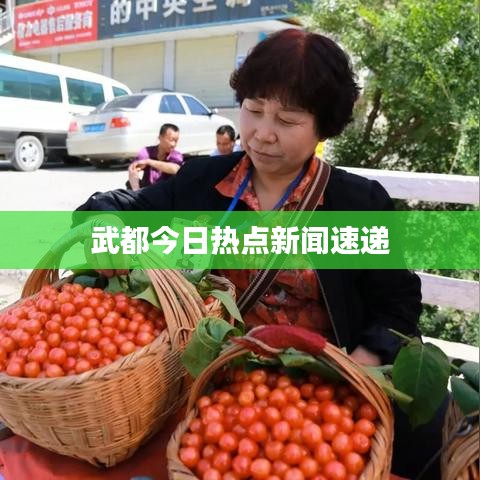 武都今日热点新闻速递