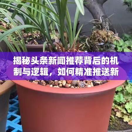 揭秘头条新闻推荐背后的机制与逻辑，如何精准推送新闻？