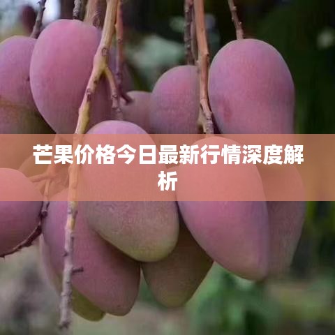 芒果价格今日最新行情深度解析