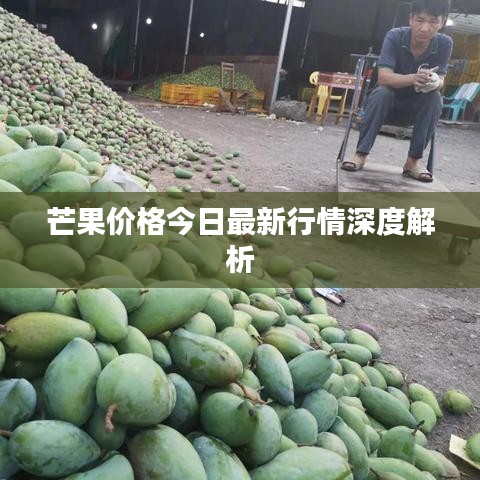 芒果价格今日最新行情深度解析