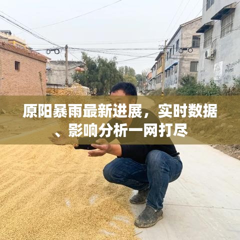 原阳暴雨最新进展，实时数据、影响分析一网打尽