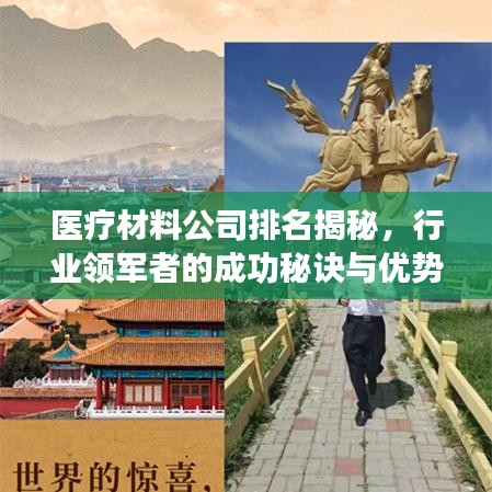 医疗材料公司排名揭秘，行业领军者的成功秘诀与优势对比