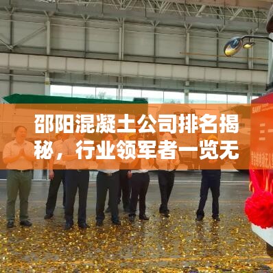 邵阳混凝土公司排名揭秘，行业领军者一览无余！