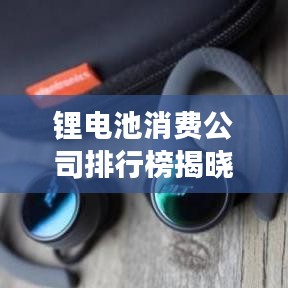 锂电池消费公司排行榜揭晓，行业巨头及未来趋势展望